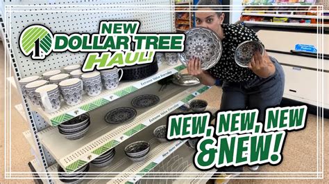 New Dollar Tree Haul New Exciting Finds 62124 Youtube