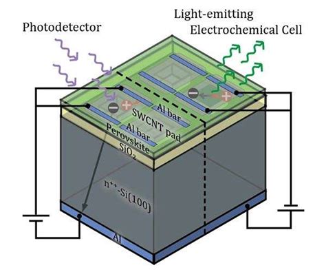 Novel Design Perovskite Electrochemical Cell For Light Emission And