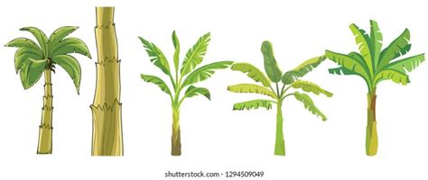 Set Vector Tropical Bananas Palm Trees Stock Vector Royalty Free