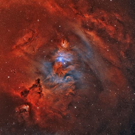 NGC 2264 the Christmas Tree Nebula with Cone Nebula and Fox Fur Nebula Poster Print - Walmart.com