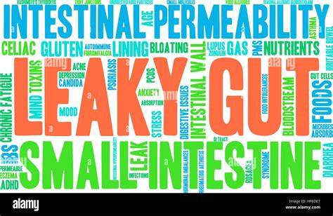 Leaky Gut Word Cloud On A White Background Stock Vector Image And Art Alamy