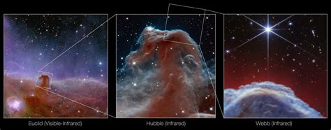 Horsehead Nebula rears its head in gorgeous new James Webb Space Telescope images (video) | Space