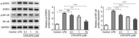 PRMT5 Inhibition Ameliorates Inflammation And Promotes The Osteogenic