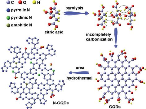 Schematic Illustration Of The Reaction Mechanism Of N Gqds Partly