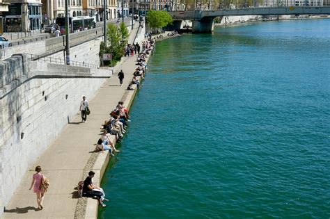 Documentation of the World Record for the Longest Human Feces 14