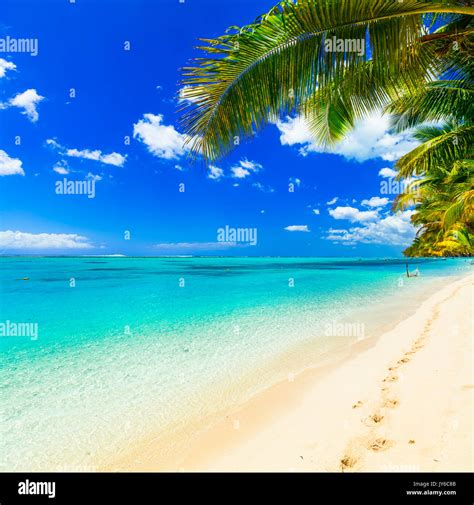 Mauritius island beach sunbathing hi-res stock photography and images ...