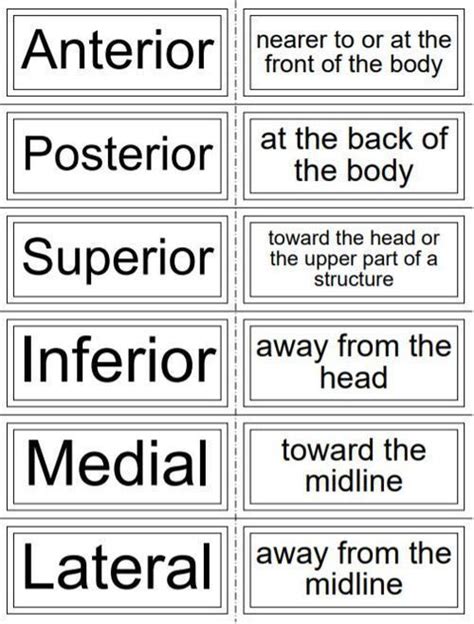 Pin By Theresa Grimes On Medical Terminology Medical School Stuff