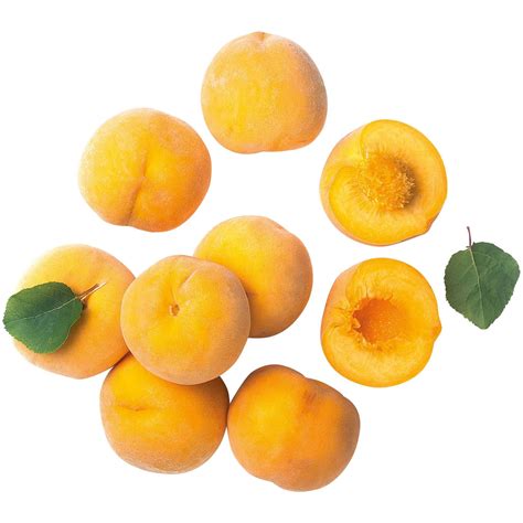 Tipos De Pêssego Amarelo - Tipos De Pêssego Amarelo - FDPLEARN