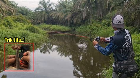 CASTING GABUS DI SAAT AWAL MUSIM BANJIR BANYAK IKAN BESAR DI