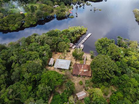 Museu Do Seringal Reabre Para Visita O A Partir De De Fevereiro