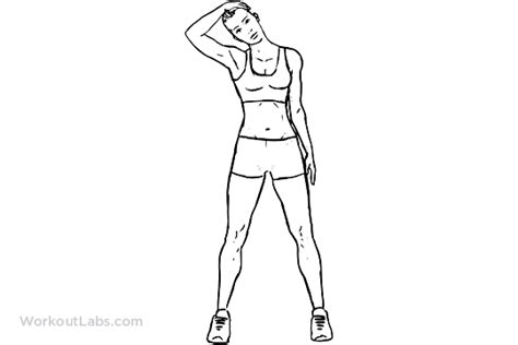 Neck Stretch Workoutlabs