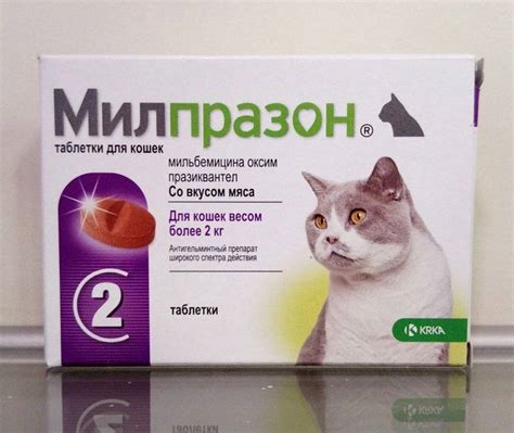 Снотворное для кошек: виды препаратов, особенности использования, отзывы