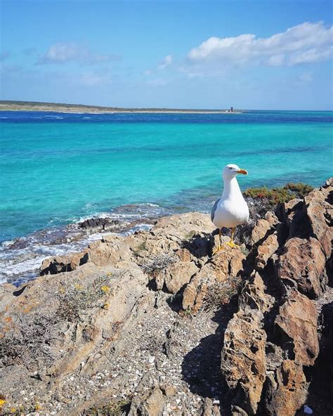 Mi Piace Commenti Sardegna Terra Mare E Costumi