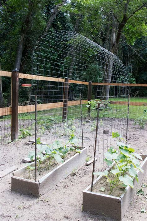 Building The Perfect Garden Archway Trellis Truecorp