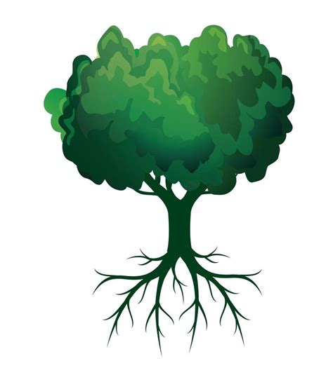 Green Spring Tree With Roots Vector Illustration 9288034 Vector Art