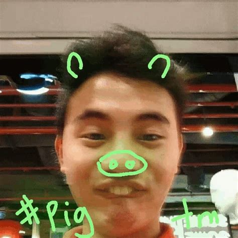 Pig Draw GIF - Pig Draw Filter - Discover & Share GIFs