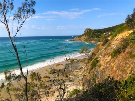 Desde La Costa Dorada Excursi N De Un D A A Byron Bay Y Bangalow