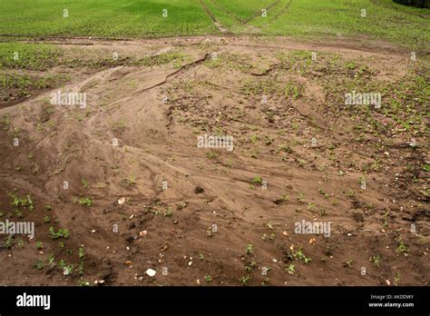 Campo Di Erosione Del Suolo Immagini E Fotografie Stock Ad Alta