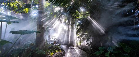 Fairchild Tropical Botanic Garden: Your Miami Botanical Garden