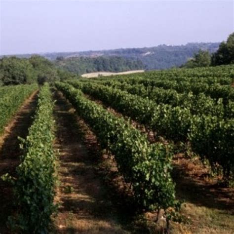 Interesting Facts about Cahors in South West France region ...