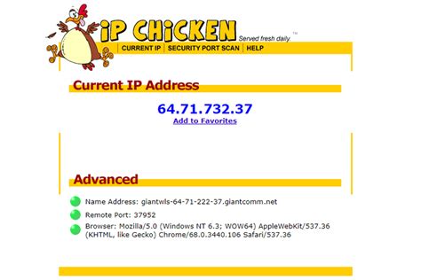 Public IP Addresses: Everything You Need to Know