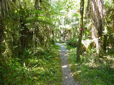 The Best Fiordland National Park Hiking Trails We12travel