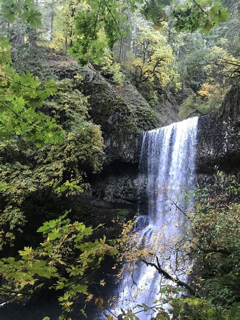 Hiking: The Maple Ridge Trail at Silver Falls State Park - Nourish ...