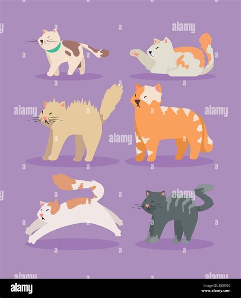 Six Cute Cats Mascots Stock Vector Image And Art Alamy