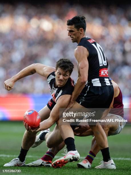 4618 Collingwood Magpies Afl Grand Final Stock Photos High Res