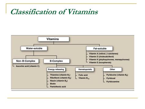 Ppt Vitamins B 6 And B 12 Powerpoint Presentation Free Download Id