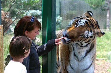 Preschool Zoo at Zoo Boise | Downtown Boise, ID