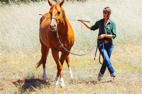 159 best images about Horse training tips on Pinterest | Trainers ...