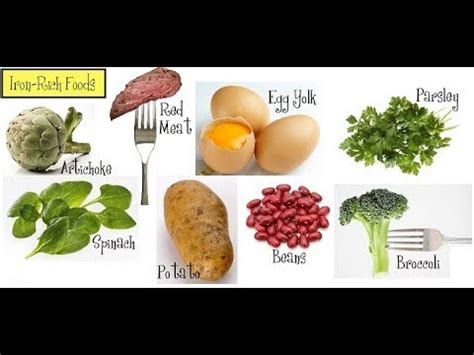 Highest Iron Rich Foods List In Hindi Deporecipe Co