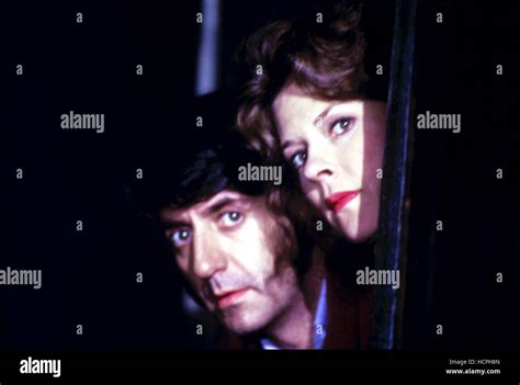 AMERICAN DREAMER, Tom Conti, JoBeth Williams, 1984 Stock Photo - Alamy