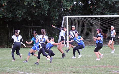 HALCONES UV A DOS DÉCADAS DE LA CREACIÓN DE SU EQUIPO DE LIGA MAYOR