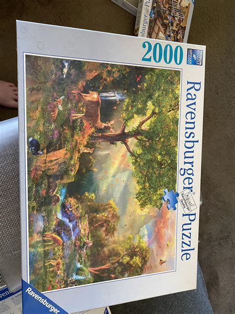 Started my first 2000 piece puzzle tonight! The edges are all connected ...