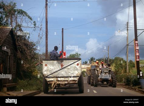 St Kitts Hombres En El Tractor Despu S De La Cosecha De La Ca A De