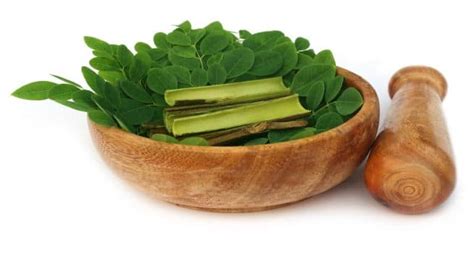 5 Health Benefits Of Drumstick Leaves TheHealthSite