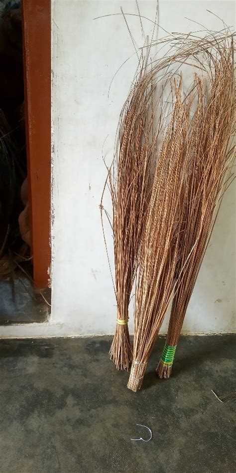 Coconut Broom At Rs Piece Nariyal Jhadu In Thiruvannamalai Id