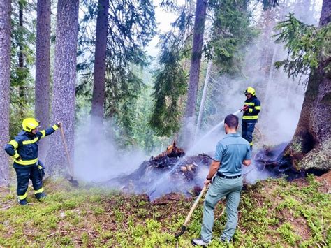 Waldbrand am Karersee in den Dolomiten vereitelt Südtirol News