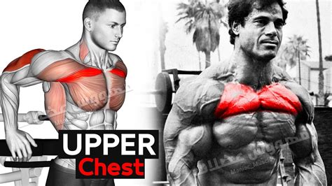 Upper Chest Workout 5 Ways To Build Upper Pecs YouTube