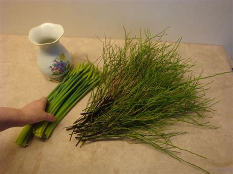 Floristik Anleitung Blumenstrau Mit Osterglocken Selber Machen