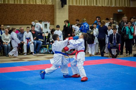 Первенство Дальневосточного федерального округа по каратэ - Karate.ru ...