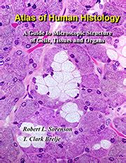 Histology Guide Virtual Microscopy Laboratory