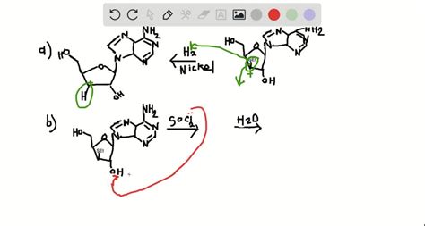 SOLVED The Following Reaction Sequence Was Used In The Synthesis Of