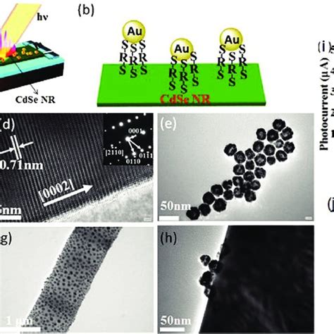 A Schematic Of Plasmonic Photodetector B Schematic Of Cdse