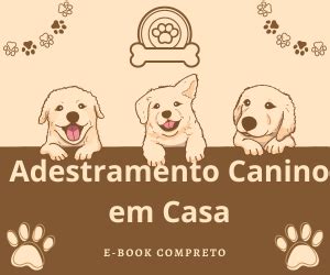 Adestramento Canino Em Casa Marques De Almeida Lima Hotmart