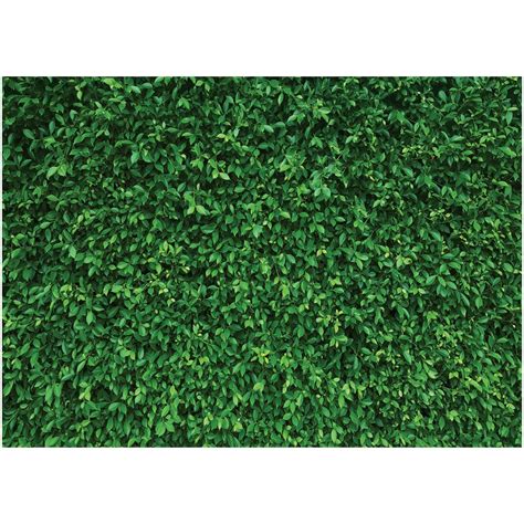 Mua LYWYGG 7x5FT Green Leaves Photography Backdrops Nature Backdrop