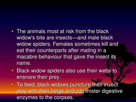 Ppt Deadliest Poisonous Spiders Powerpoint Presentation Free Download Id1904882