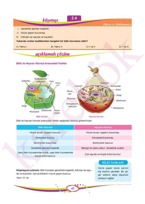 7 SINIF FEN BİLİMLERİ Karekök Yayınları